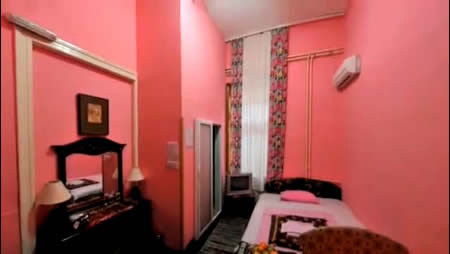 Plants: image 5 0f 12 thumb